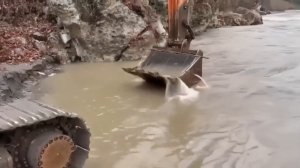 Видео от За Трофеем: Охота и Рыбалка