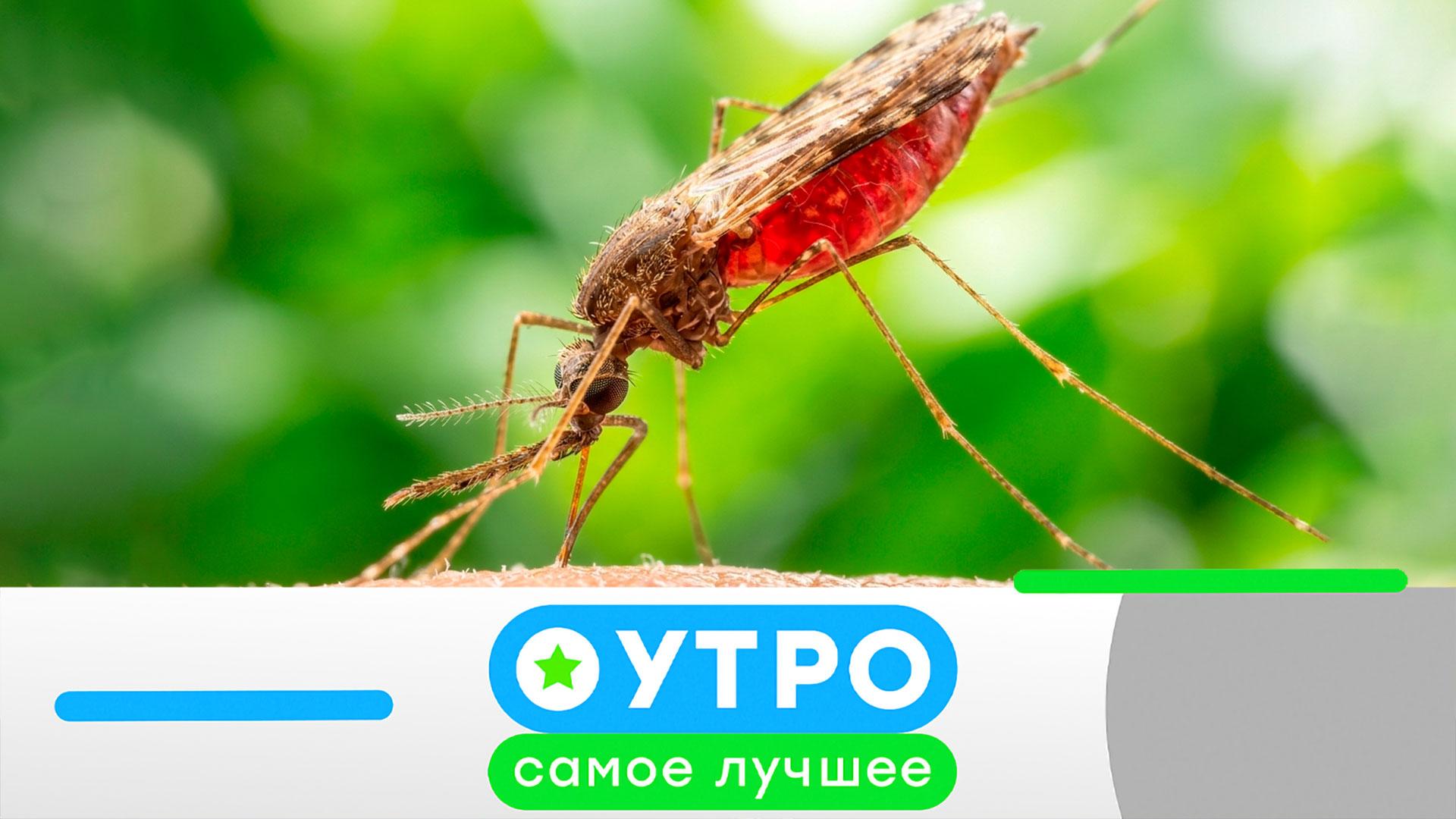 «Утро. Самое лучшее»: 22 июня 2026 года смотреть онлайн