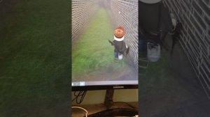 1000022907.mp4