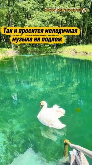 Шопино - бэкстейдж