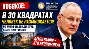 Антон Кобяков: В 30 квадратах человек не размножается — на ПМЭФ назвали главный путь спасения России