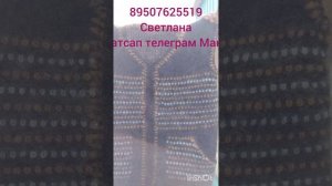 220626Пуховые  платки и шерстяные  изделия от Светланы