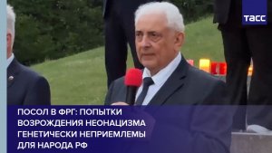 Посол в ФРГ: попытки возрождения неонацизма генетически неприемлемы для народа РФ