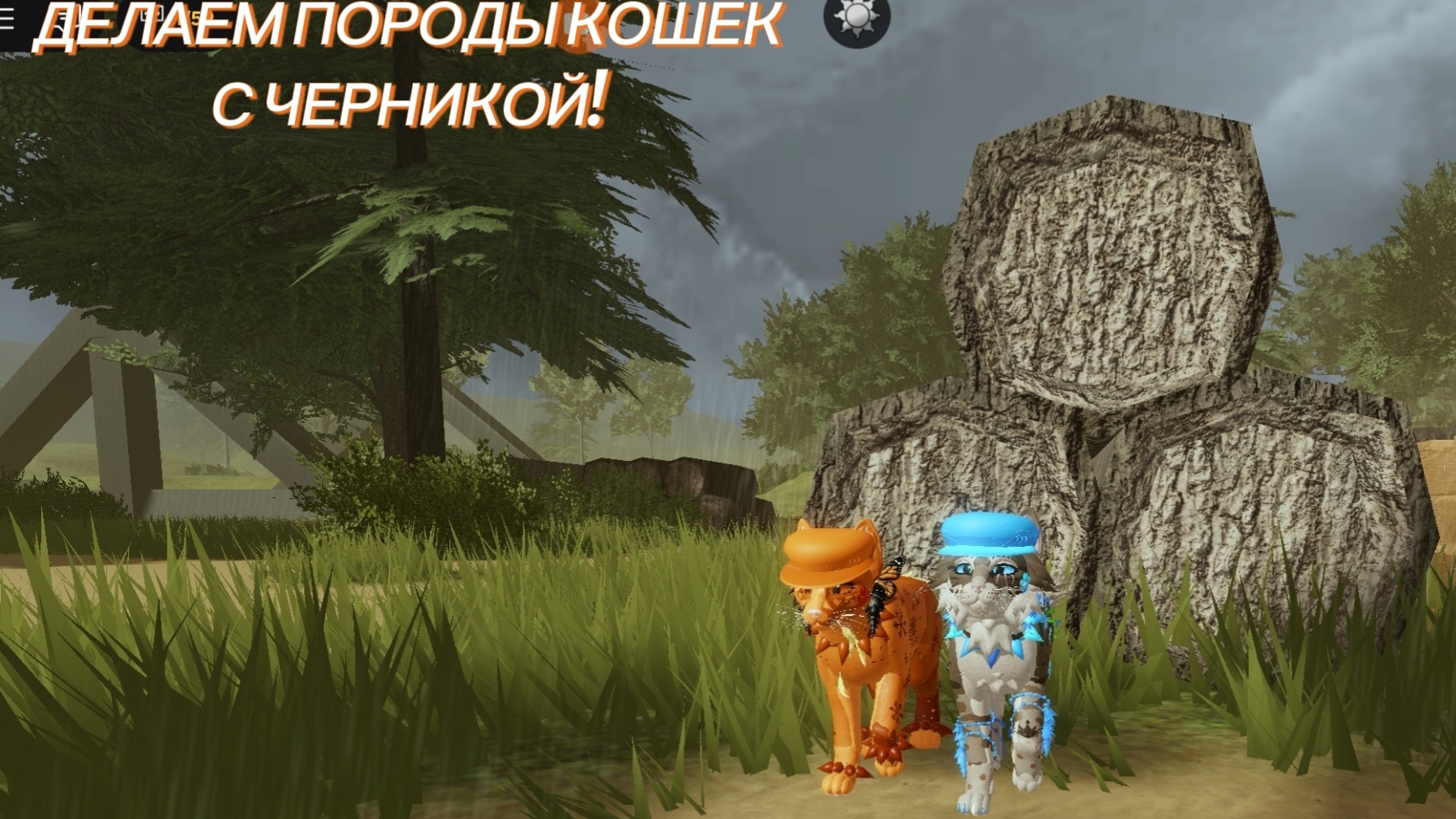 ДЕЛАЕМ ПОРОДЫ КОШЕК С ЧЕРНИКОЙ!(коллаб) смотреть онлайн