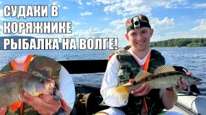 ВЫХОД ВЕЧЕРНЕГО СУДАКА НА ВОЛГЕ, мощные поклевки и обидные сходы