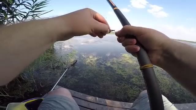 В ЭТИХ КАМЫШАХ РЫБа Есть!ВОТ ЧТО КЛЮЕТ НА УДОЧКУ ЛЕТОМ В ЖАРУ Рыбалка на поплавок 2026 смотреть онлайн