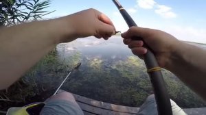 В ЭТИХ КАМЫШАХ РЫБа Есть!ВОТ ЧТО КЛЮЕТ НА УДОЧКУ ЛЕТОМ В ЖАРУ Рыбалка на поплавок 2026