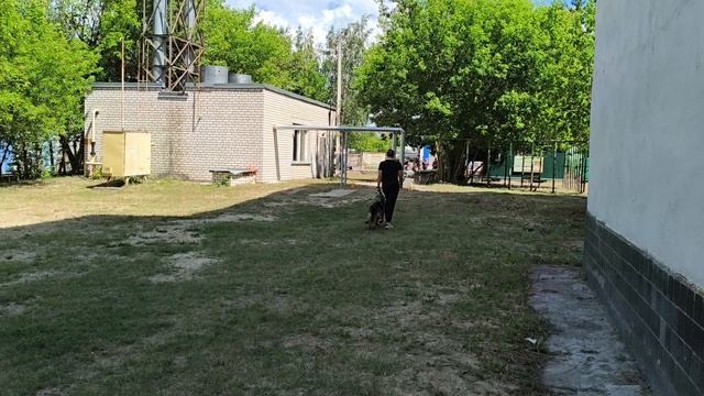 5.  выражено/пож TOTOSHA DI FIAMMA VIVO (Frosten Rusland Ridik – Victoria di Fiamma Vivo)