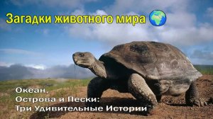 Загадки животного мира 🌍 Океан, Острова и Пески: Три Удивительные Истории🐾