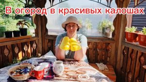 Новый уголок для отдыха) Телегу нагрузили..