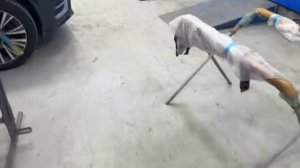 Прадо  китайское железо