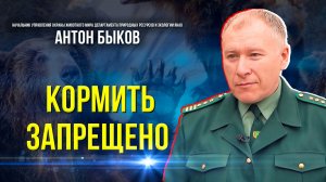 Медведи на Ямале стали чаще выходить к людям