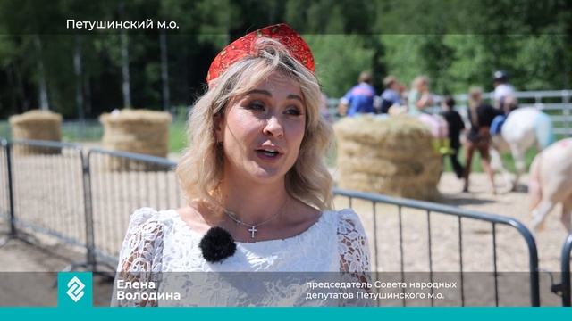 В Петушинском округе в День многодетной семьи матерям-героиням вручили ключи от новых машин