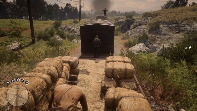 Red Dead Redemption 2 #9