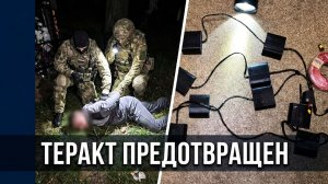 В МОСКОВСКОЙ ОБЛАСТИ ПРЕДОТВРАЩЕН ТЕРАКТ НА ЖЕЛЕЗНОЙ ДОРОГЕ