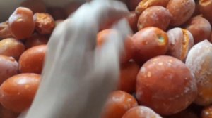 2538.   Открываем морозильную камеру, а там.......!!!!!!