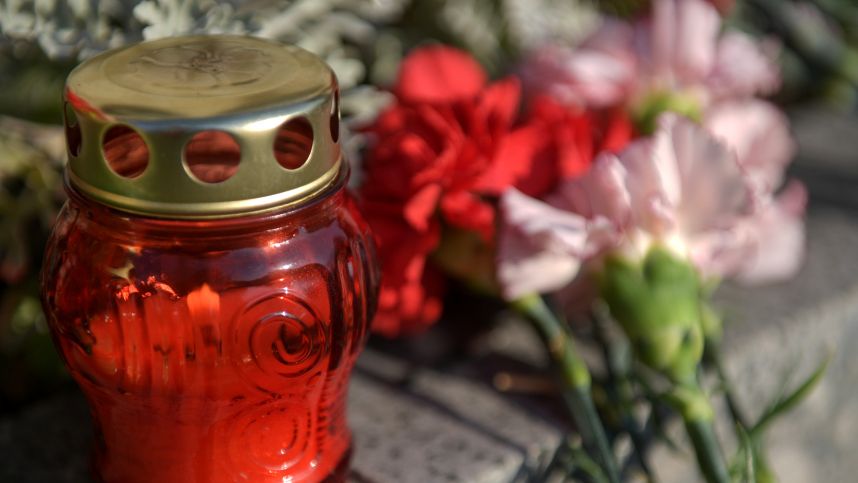 Сад в Каире и колокольный звон в Кишиневе: мир вспоминает начало Великой Отечественной войны смотреть онлайн