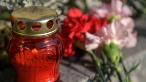 Сад в Каире и колокольный звон в Кишиневе: мир вспоминает начало Великой Отечественной войны