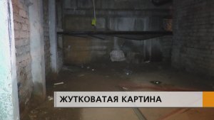 Мёртвые котята, блохи, комары в подвале и бесконечные порывы труб горячей воды в квартирах
