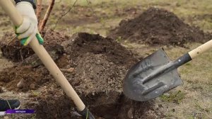 «Сад памяти» вновь объединил магаданцев разных поколений в честь героев, отдавших жизнь за Родину