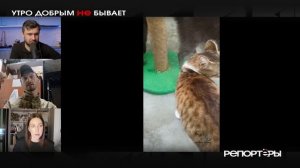 Одиннадцать дней на жизнь