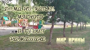 В ДОМЕ НИ КАПЛИ МЯСНОГО ● В ТУАЛЕТ НА МАШИНЕ ●●●