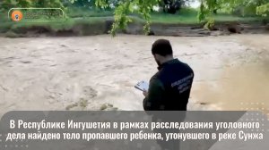 В Республике Ингушетия в рамках расследования уголовного дела найдено тело пропавшего ребенка,