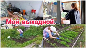 Мой выходной// Дома и на даче