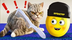 НЕ ЧЕШИ КОТА ОН ЗЛИТСЯ в ROBLOX!