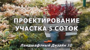 Планировка участка 5 соток