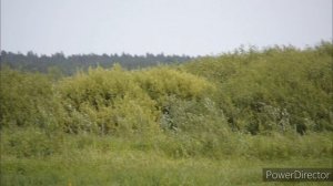 Липецкая обл. с.Троицкое Июнь 2024 г.