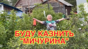 21/ 6 26 РОГАТЫЕ ПОМИДОРЫ.  ПОД  РАСТРЕЛЬНУЮ  СТАТЬЮ.  БЕЗ НАС КОШКУ НЕ ЕШЬ.