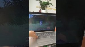 СТРИМ 16:00