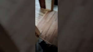 1000015479.mp4