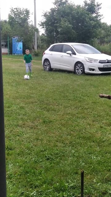 василёчек цветочек