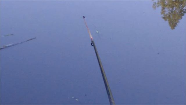 ✔🐟За карасём🎣 на лесное болото💧 Часть 2✔