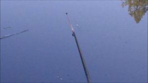 ✔🐟За карасём🎣 на лесное болото💧 Часть 2✔