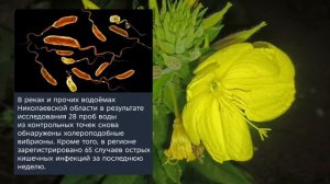 Николаев 23 июня 2026 года (новости)