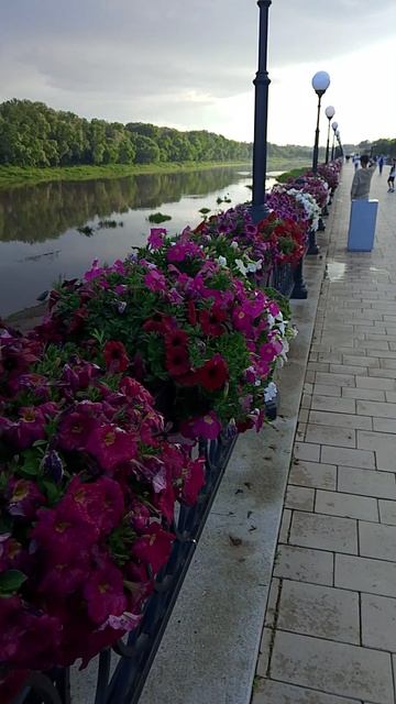 А РЫБА ЛОВИТСЯ 🐟 смотреть онлайн