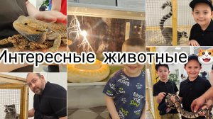 выставка животных ☀️