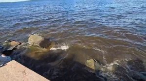 Петрозаводск.Набережная Онежского озера.
