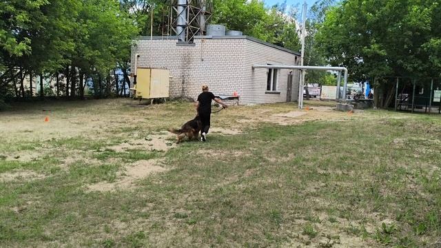 4.  выражено/перв ЛЕГЕ АРТИС ЖАЖДА ЖИЗНИ (Zareks v. Frosten – Леге Артис Сенсация Века)