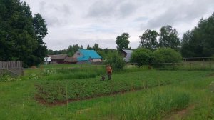 Работа в огороде