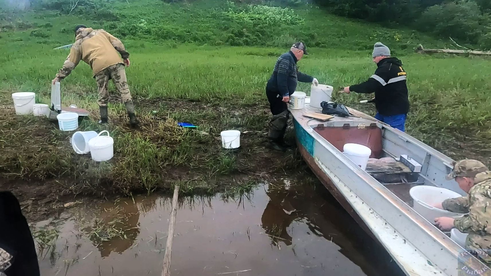 Рыбалка на продольники и не только \ 03.06.2026 \ Вечерняя проверка проверка смотреть онлайн