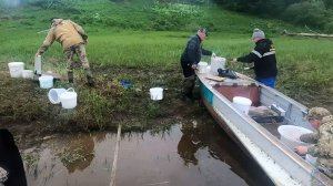 Рыбалка на продольники и не только \ 03.06.2026 \ Вечерняя проверка проверка