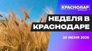 Неделя в Краснодаре. Рекордсмены урожая, целевое обучение, безопасные каникулы, компьютерная шея