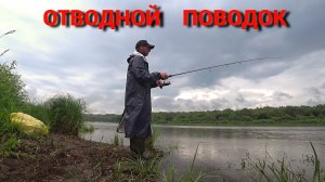 КЛЁВАЯ ТОЧКА. Поклёвки одна за одной. Рыбалка на СПИННИНГ на ОКЕ.