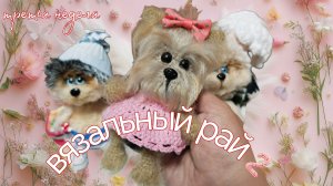💫Вязальный рай 2🐶Третья неделя ❤️