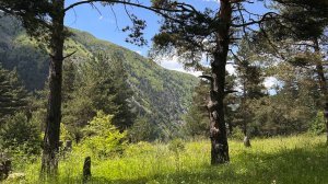 Поход в Хрюгский лес. Это было красиво. Дагестан