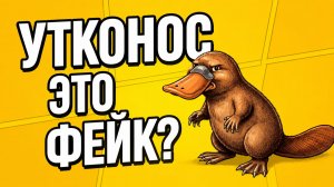 Утконос: животное, которое не должно было существовать